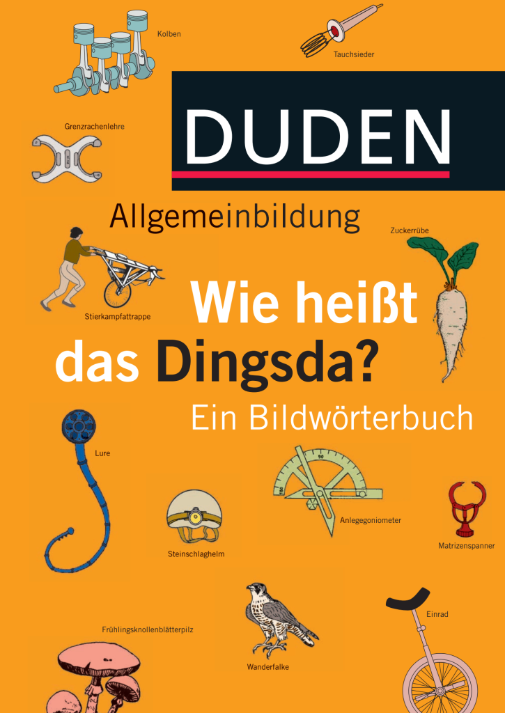 Rich Results on Google's SERP when searching for 'Duden Allgemeinbildung Wie Heibt Das Dingsda Ein Bildworterbuch'